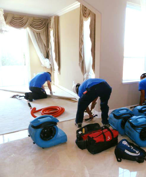 San Diego Water Restoration Pros Team