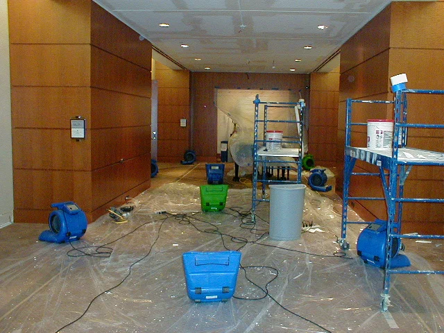 San Diego Water Damage Restoration Transformation